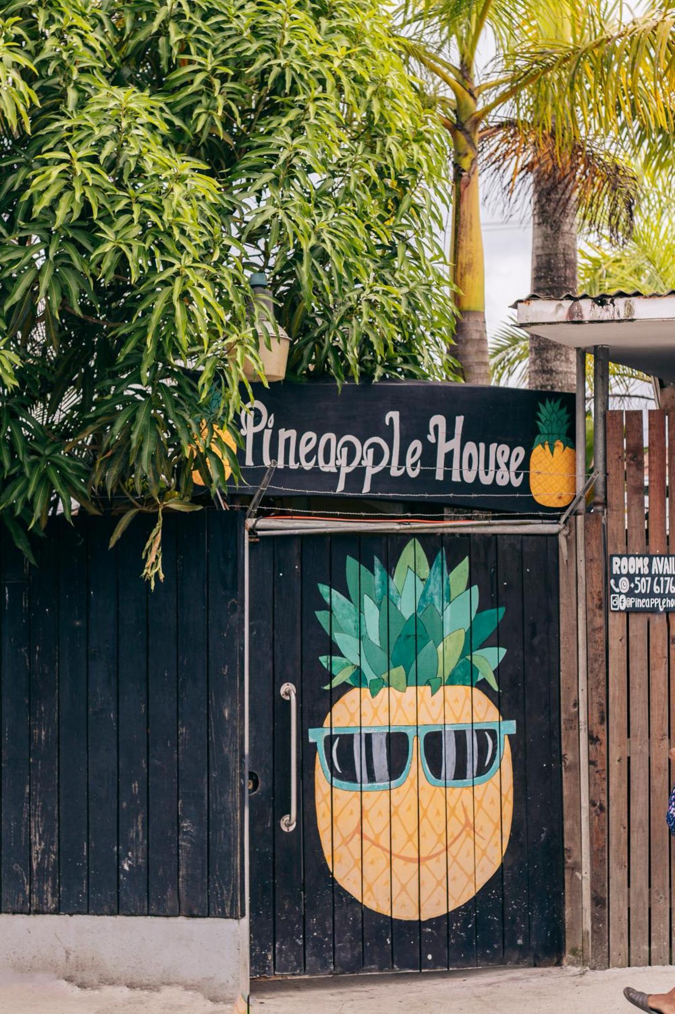 Pineapple House Ξενοδοχείο Μπόκας ντελ Τόρο Εξωτερικό φωτογραφία